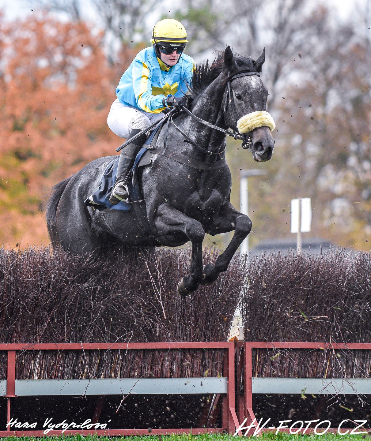 DSC_5812 kopie.jpg